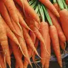 7 Health Benefits of Carrots to Help You Love Them More ...
