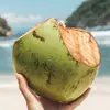 Why You Should Be Drinking Coconut Water ...