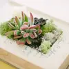7 Amazing Projects to Make from Old Books ...