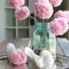 31 Playful Pom Pom Crafts for Kids and Adults ...