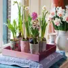 7 Ways to Add a Touch of Spring to Your Home ...