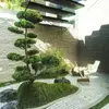 7 DIY Zen Gardens That Will Help You Achieve Inner Peace ...