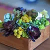 7 Insanely Beautiful Succulent Centerpieces to Make ...