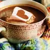 7 Amazing Uses for Cocoa That You Probably Havent Thought of ...