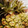 8 Delectably Awesome Recipes with Yummy Pineapples ...