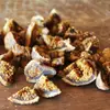 9 Health Benefits of Dried Figs for Your Diet ...