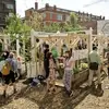 7 Reasons to Join an Urban Gardening Project ...