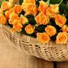 76 Gorgeous Roses Youll Wish You Could Grow ...