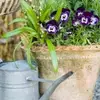 7 Best Gardening Investments to Make That Make a World of Difference ...