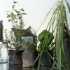 7 Creative Ways to Reuse Containers for Plants and Herbs ...