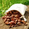 7 Reasons to Use Soap Nuts to do Your Laundry ...