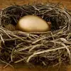 7 Reasons to Get a Nest Egg as Early as Possible ...