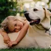 9 Tips for Introducing Your Pet and Your Child ...