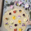 How to Use Edible Flowers Properly ...