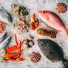 7 Scrumptious Places to Get Fresh Seafood in Salem MA ...
