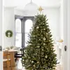 7 Beautiful Christmas Tree Themes ...