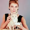 50 Pictures of Audrey Hepburn: a Study of Timeless Style and Beauty ...