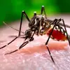 Facts about Zika Virus All Health Obsessed People Should Read ...