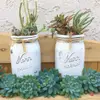 DIY Mason Jar Succulents ...