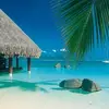 8 Fabulous Experiences to Have in Tahiti ...