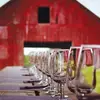 7 Amazing Northern Virginia Wineries to Add to Your List ...