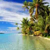 9 Reasons the Cook Islands Are a South Pacific Paradise ...