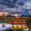 7 Things You Didnt Know about Working at Disney World ...