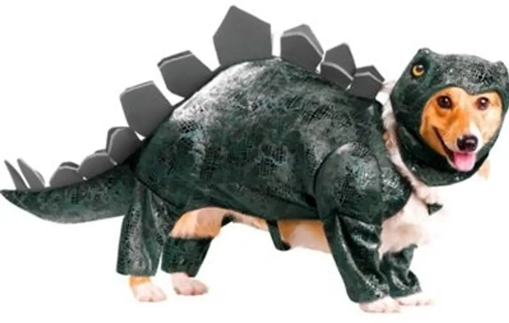 Stegosaurus Costume