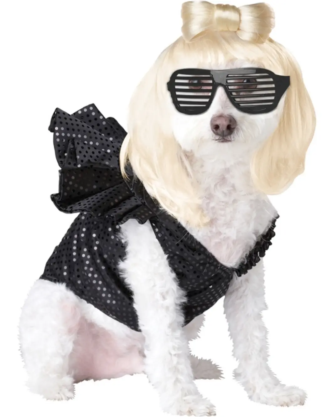 Pup-a-Razzi Pop Sensation Dog Costume