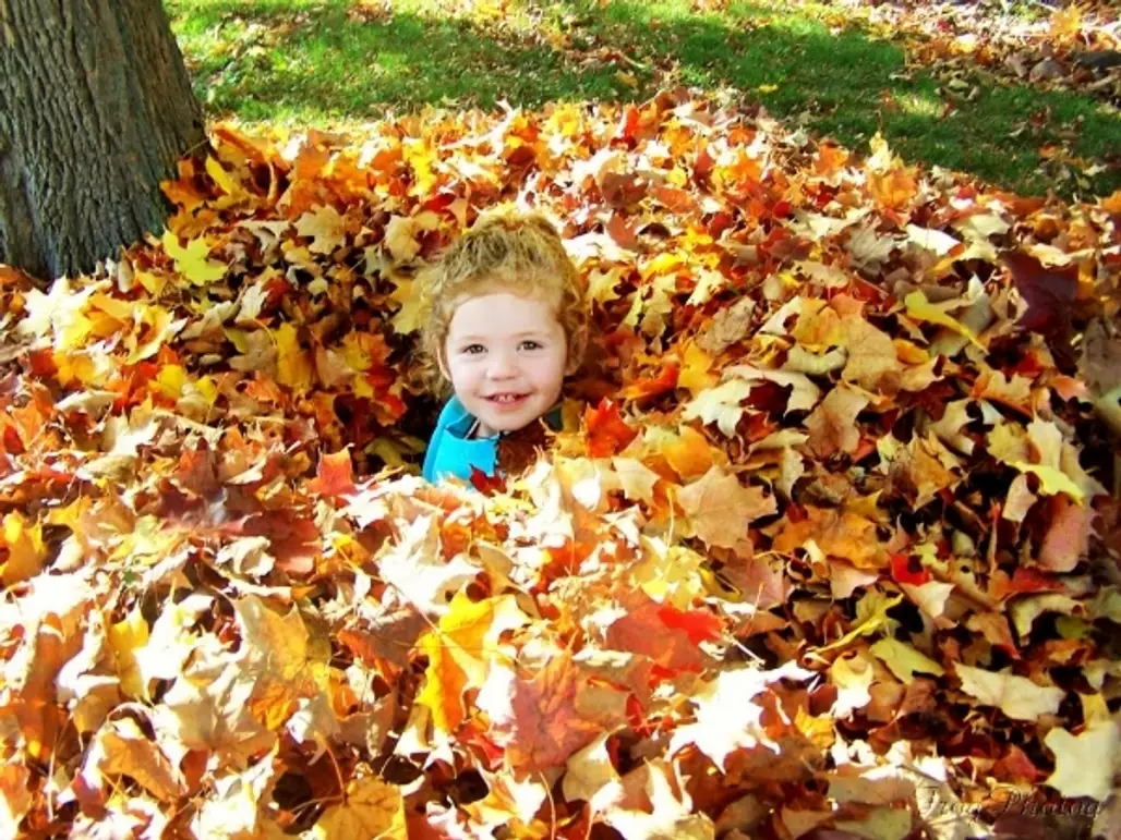 Jump in a Pile of Leaves