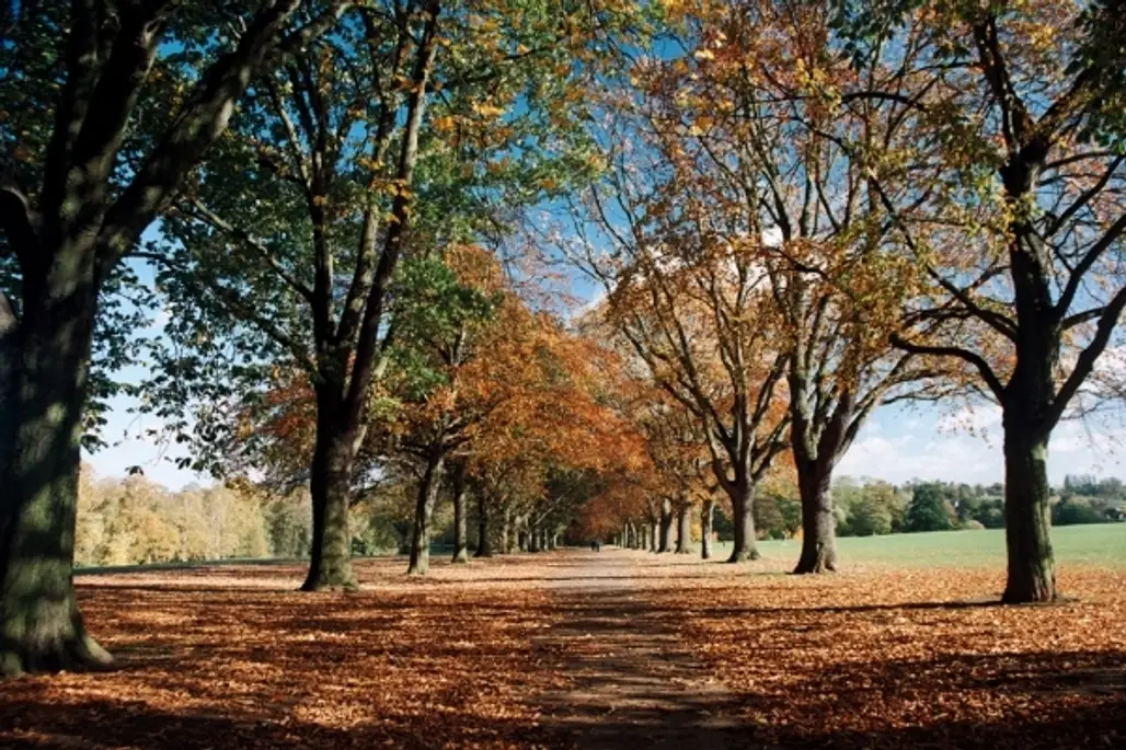 Abington Park