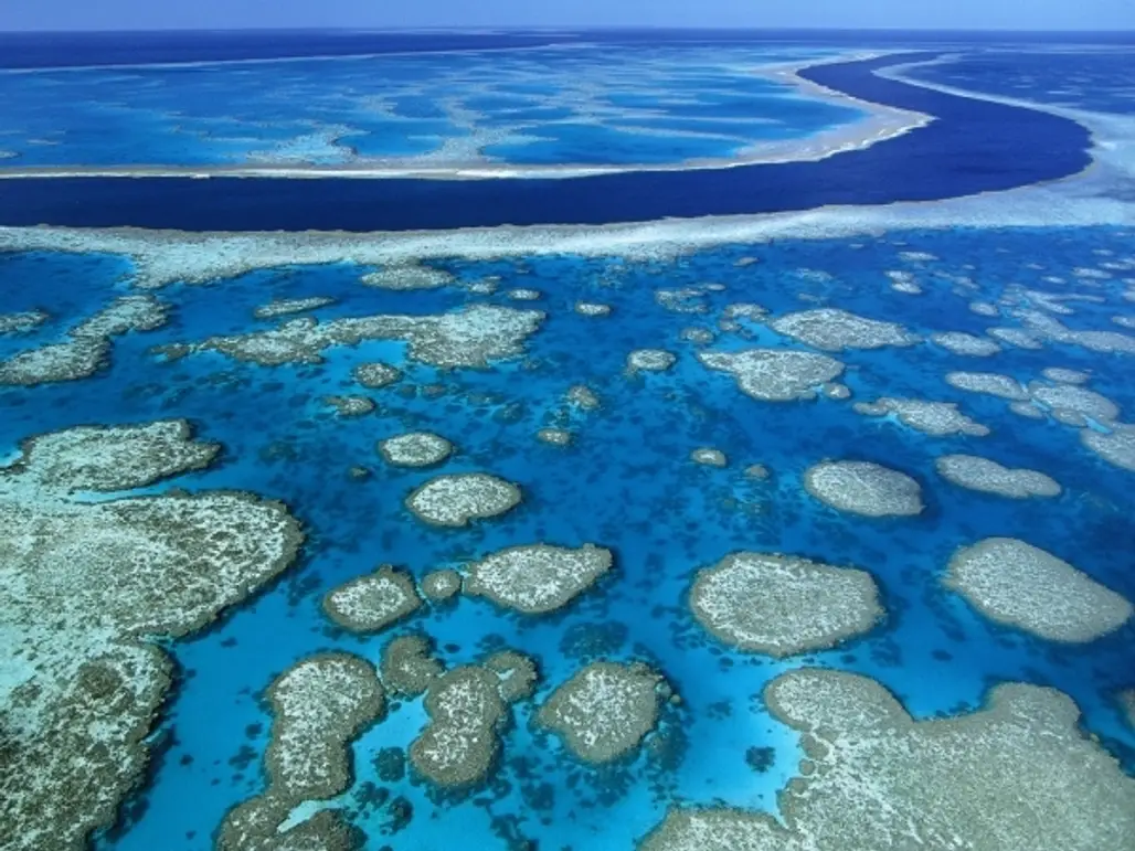 Explore the Great Barrier Reef