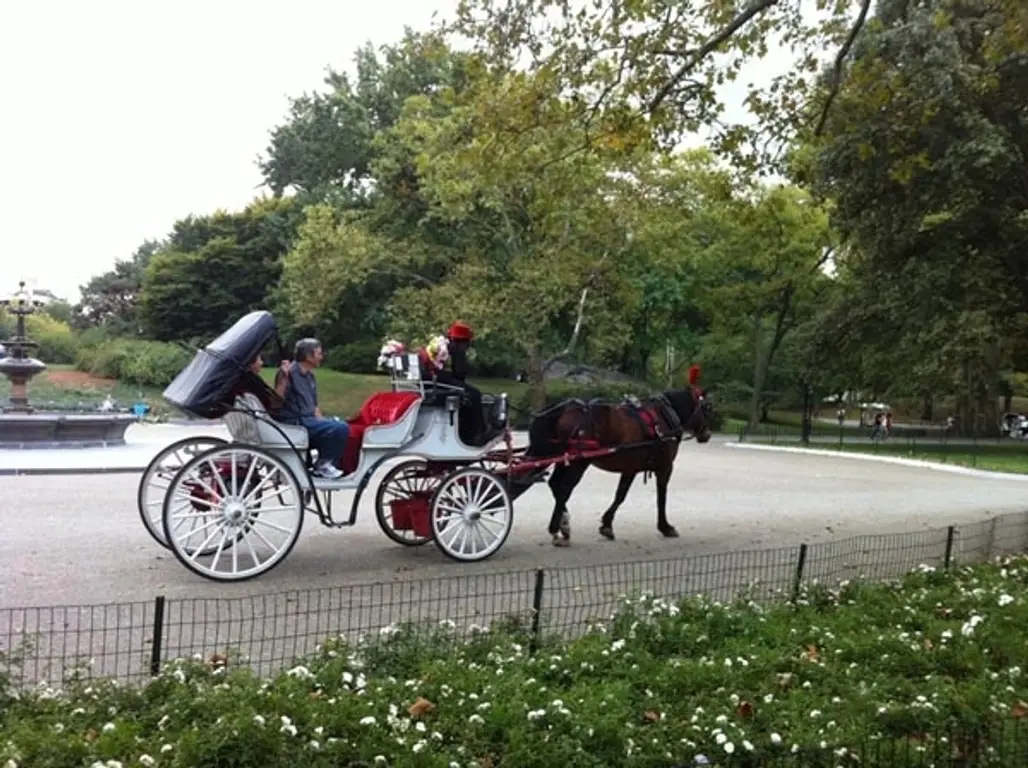 Have a Carriage Ride in Central Park