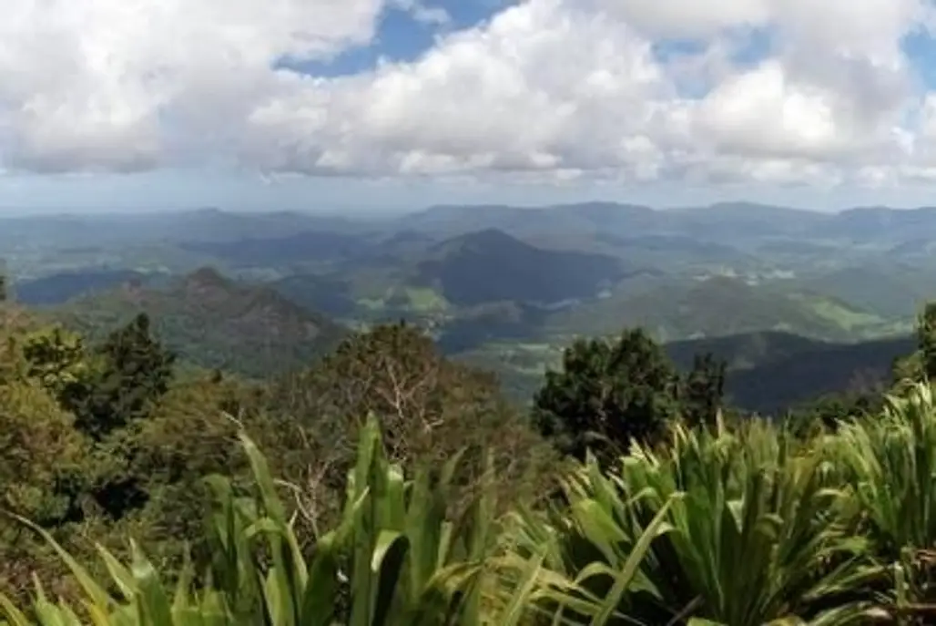 Wollumbin National Park, New South Wales
