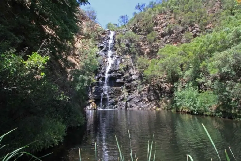 Waterfall Gully, South Australia