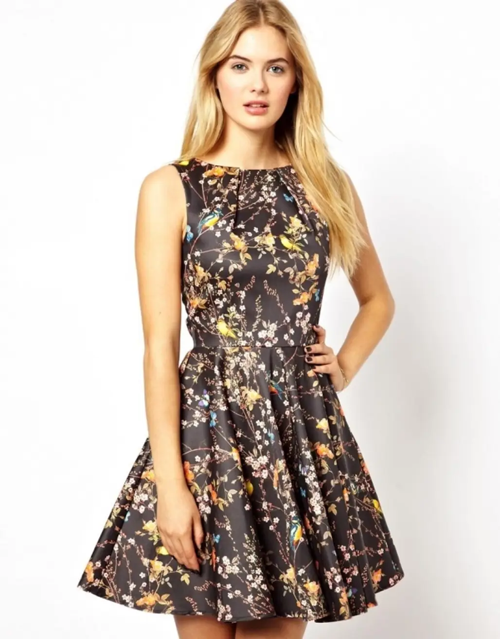 ASOS – Closet Full Skater Dress in Floral Bird Print