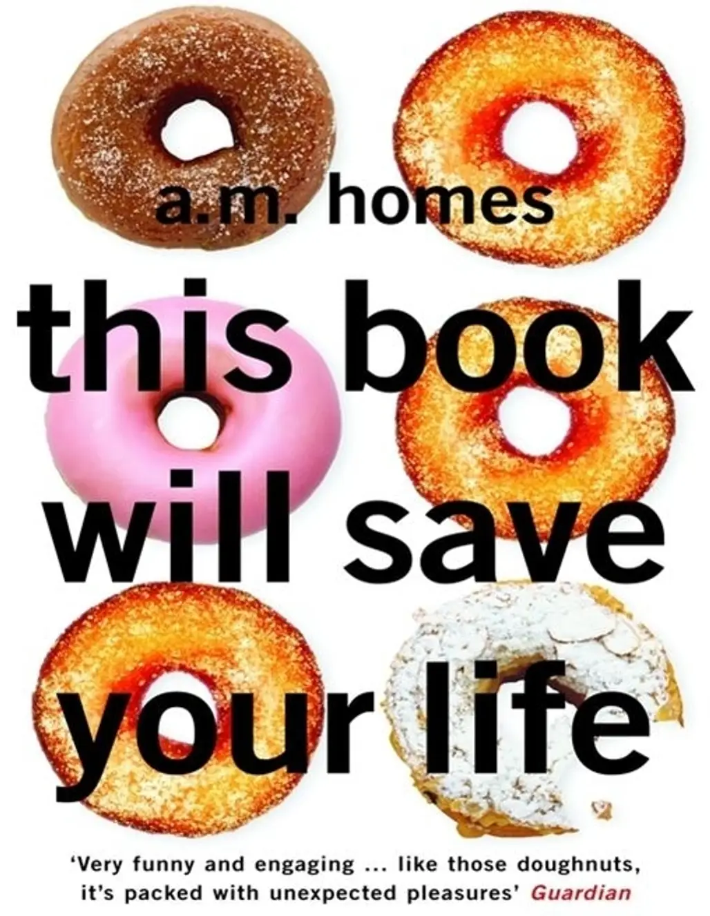 This Book Will save Your Life by a. M. Homes