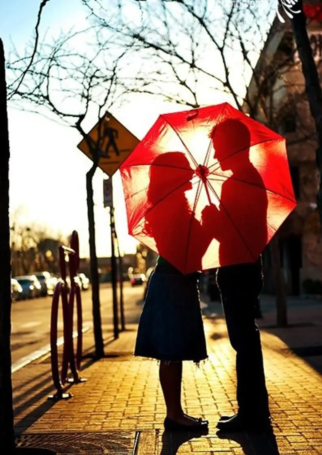red, umbrella, flower,