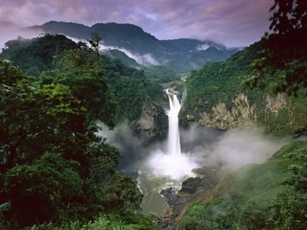 Amazon Rainforest – South America