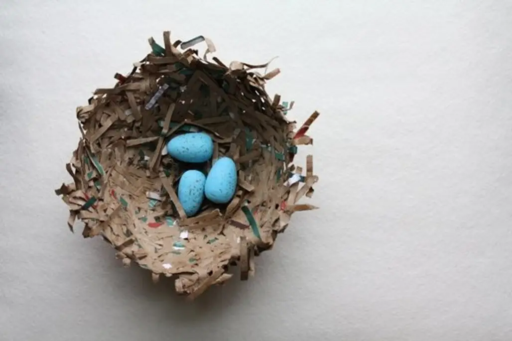 Paper Bag Bird's Nest