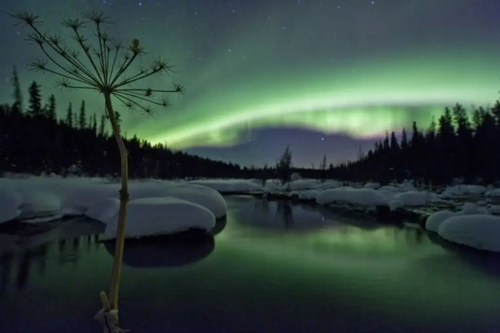 See the Northern Lights in the Yukon