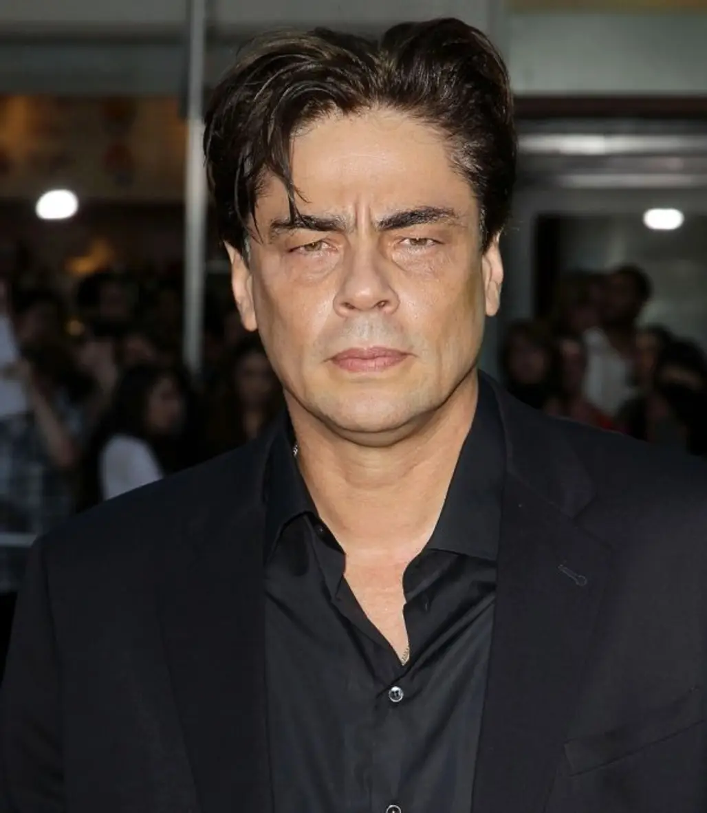 Benicio Del Toro as Che