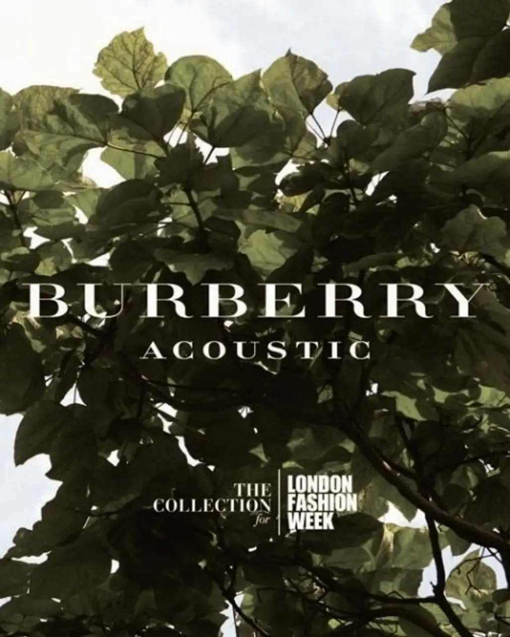 Burberry Acoustic