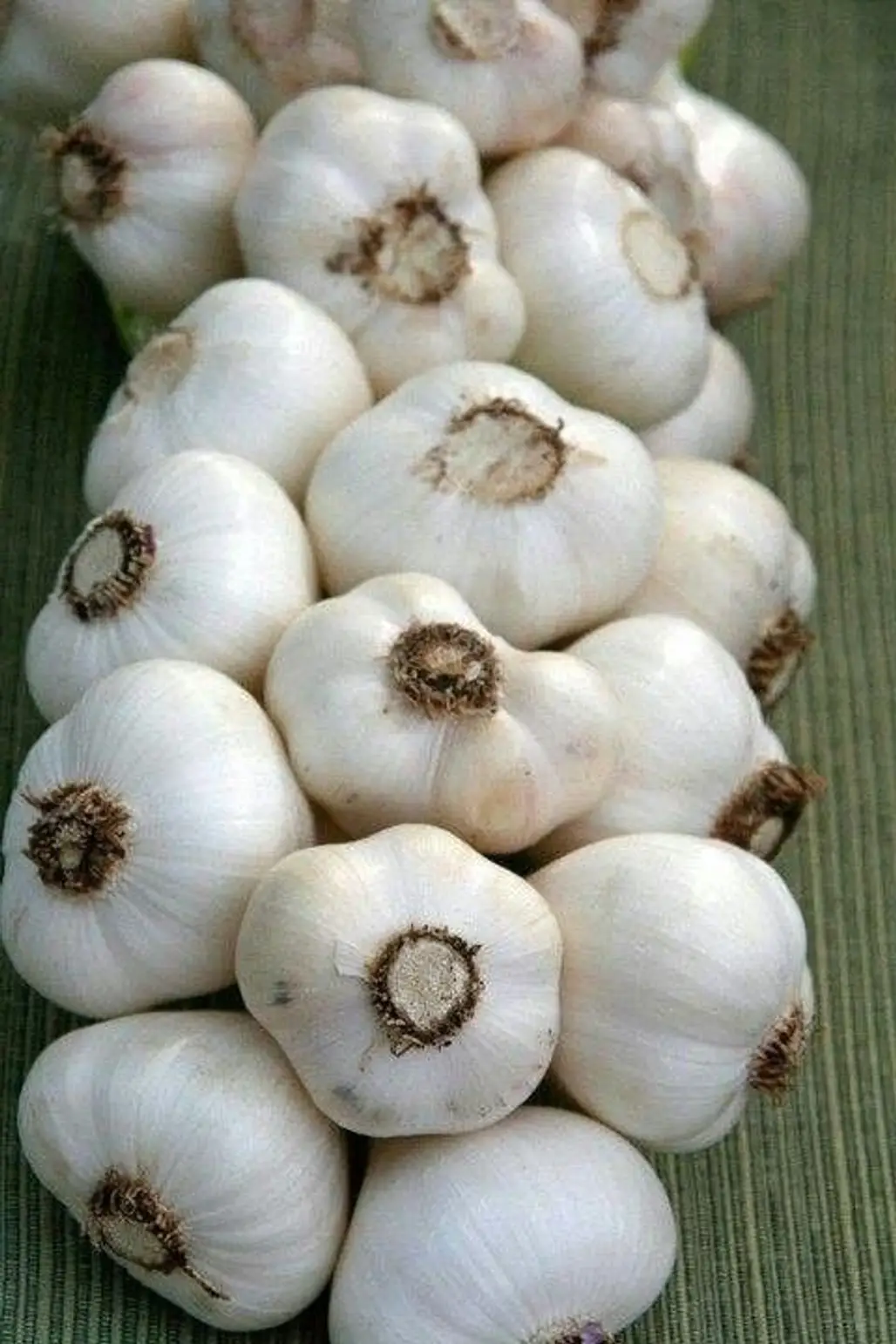 Garlic…