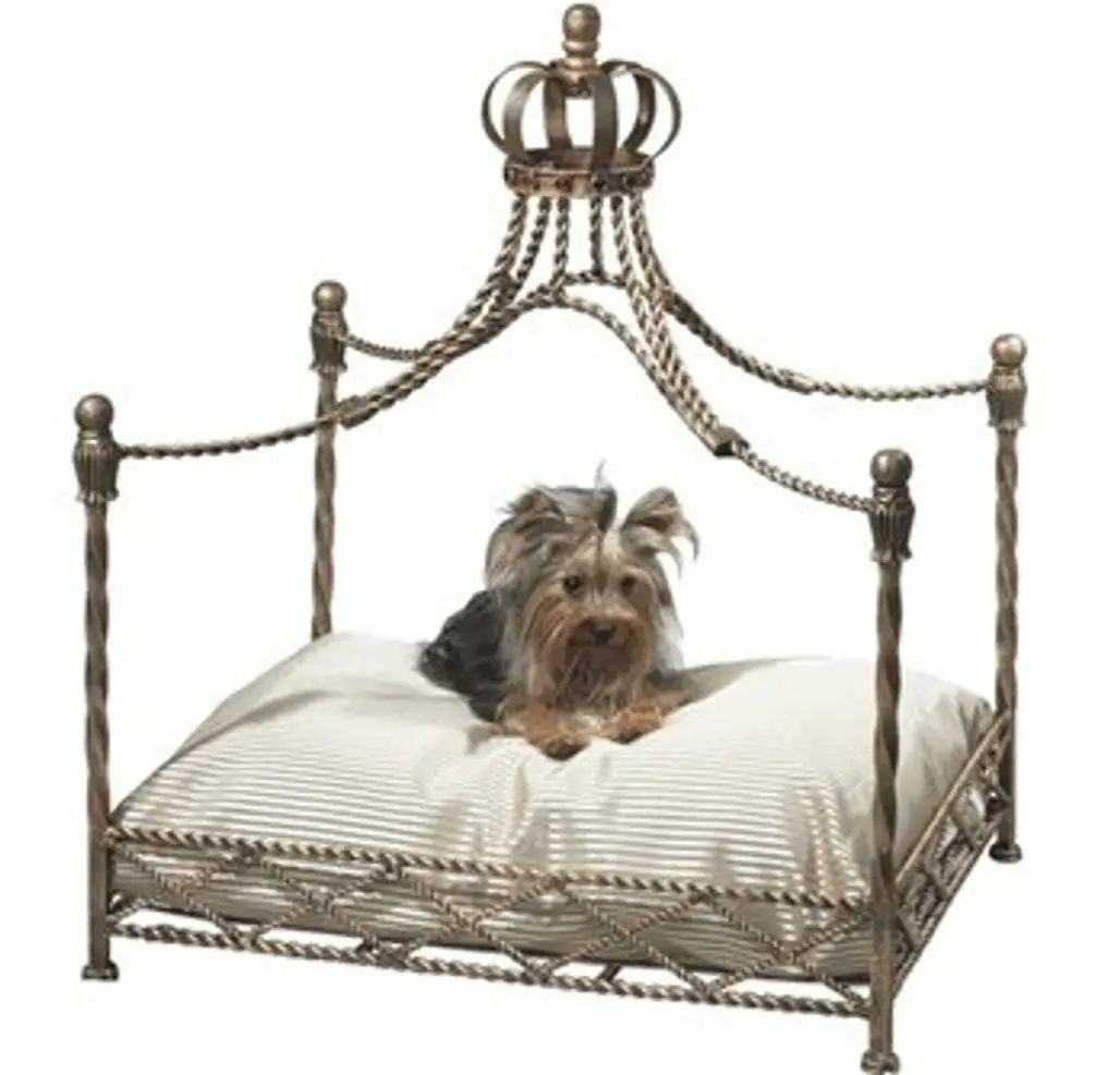 Iron Accents Royal Pet Canopy Bed