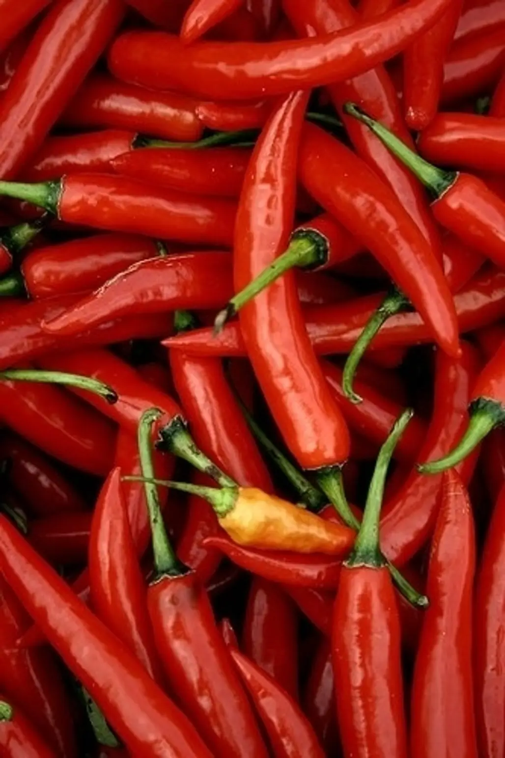 Chili Peppers Are so Hot, They're Cool