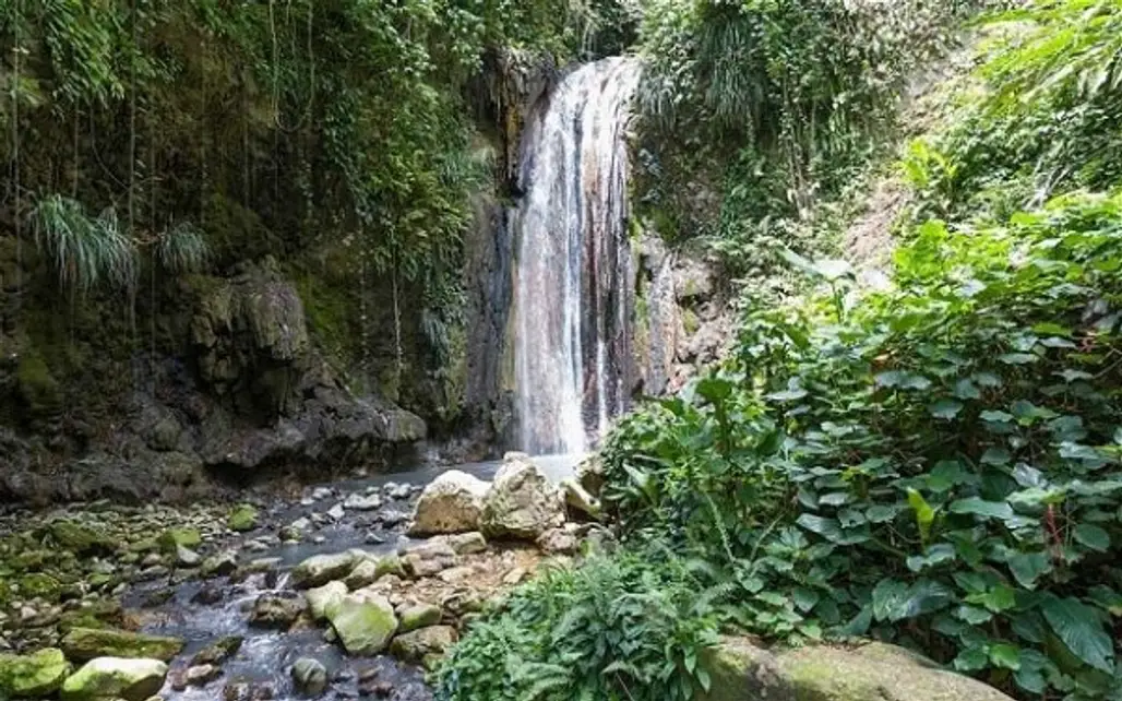 Diamond Falls Botanical Gardens, St, Lucia