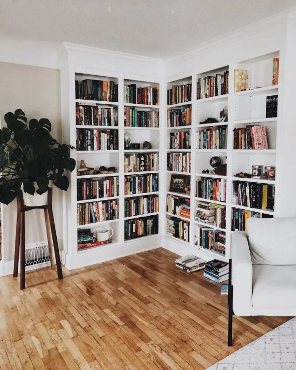 shelving, bookcase, furniture, shelf, library,