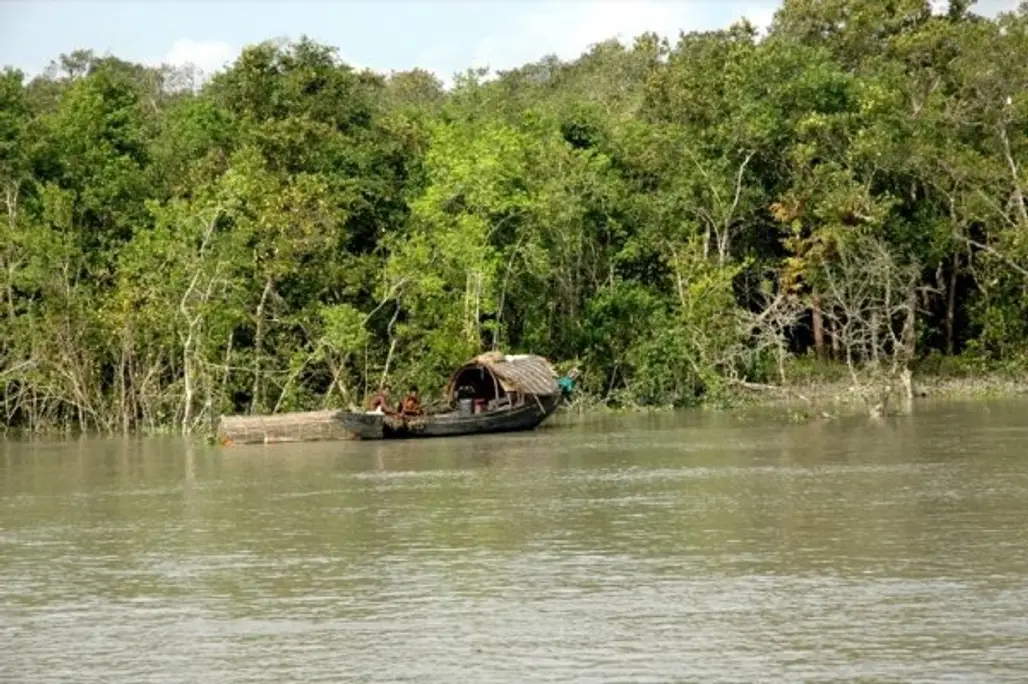 Sundarbans, India and Bangladesh
