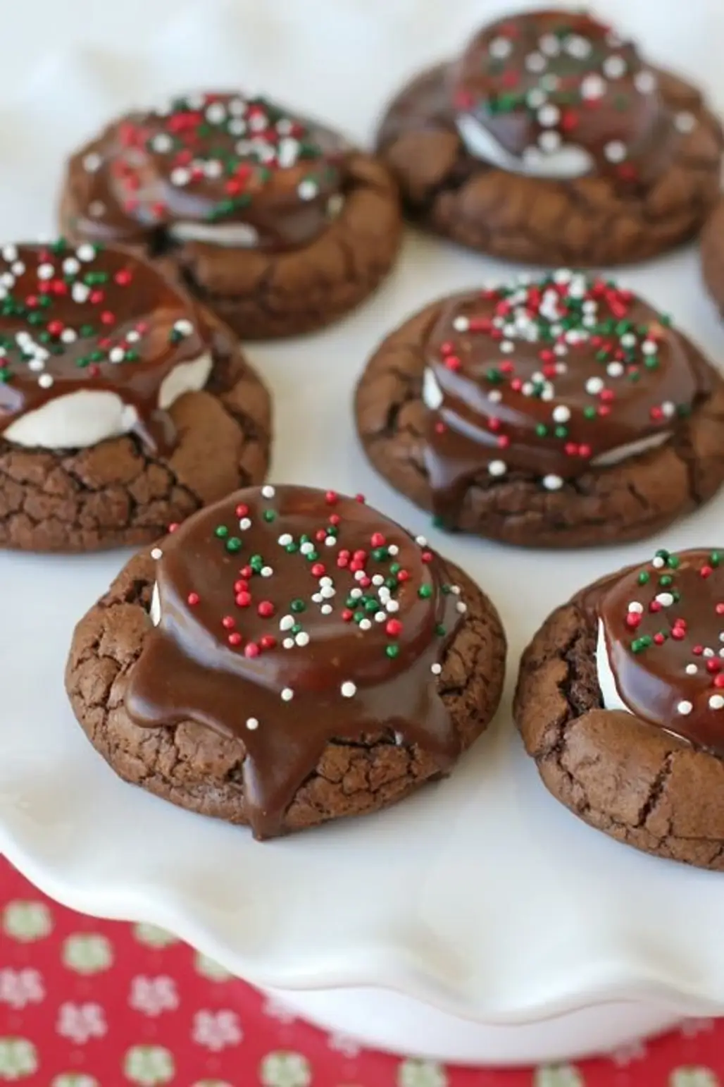 More Cocoa Cookies